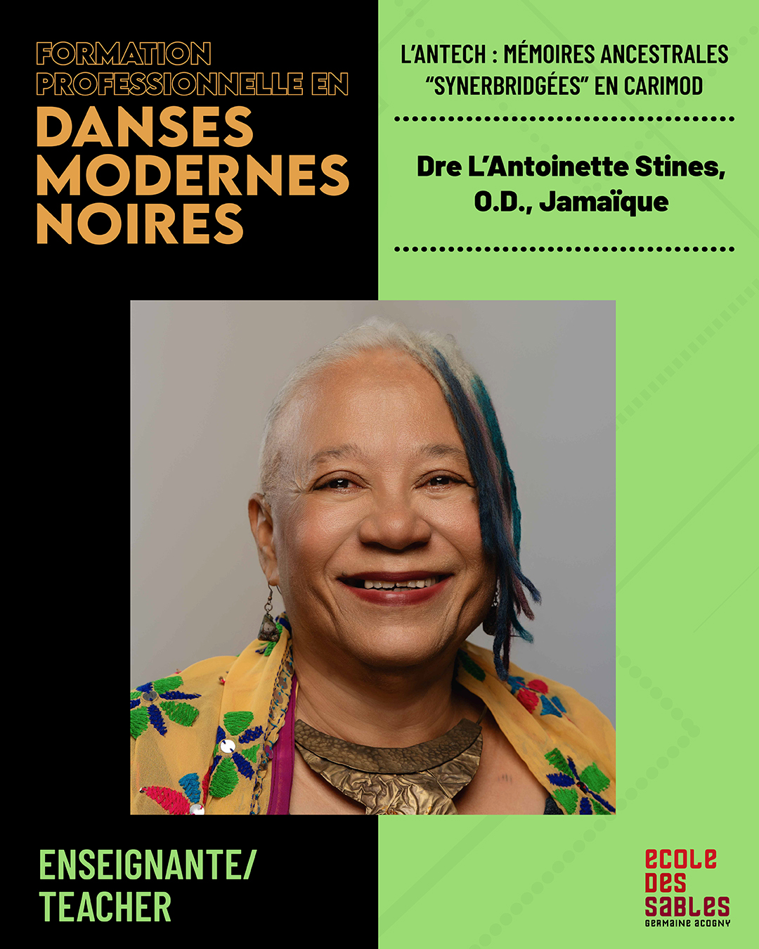 FORMATION PROFESSIONNELLE EN DANSES MODERNES NOIRES